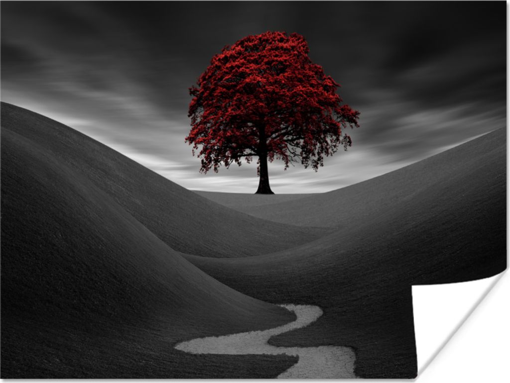 MuchoWow Poster Schwarz-Weiß-Foto mit einem roten Baum 120x90 cm - Wandbild