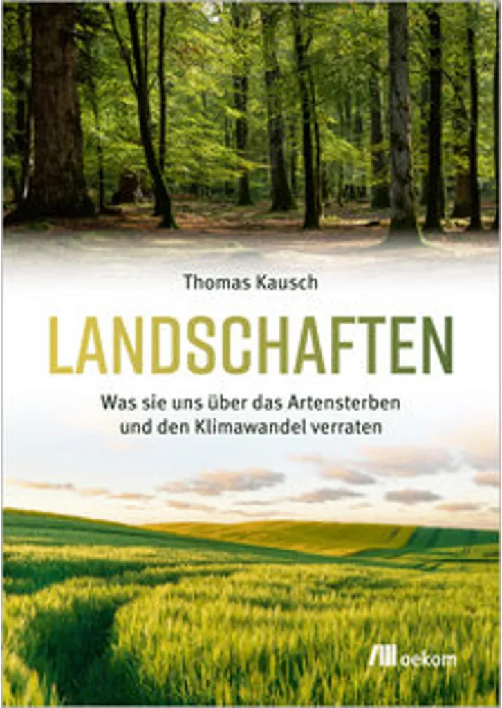 Cadre Landschaften en Bois Naturel : Panorama Montagne 90cm Qualité