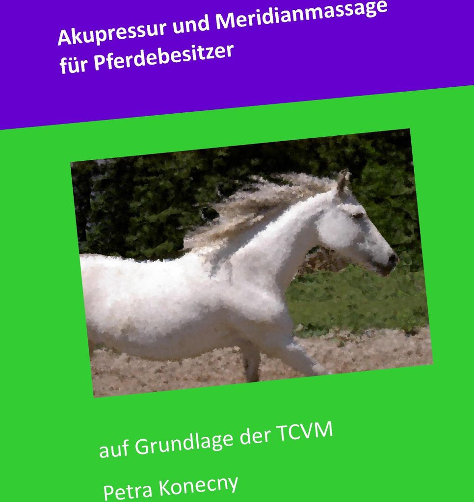 Akupressur und Meridianmassage für Pferdebesitzer