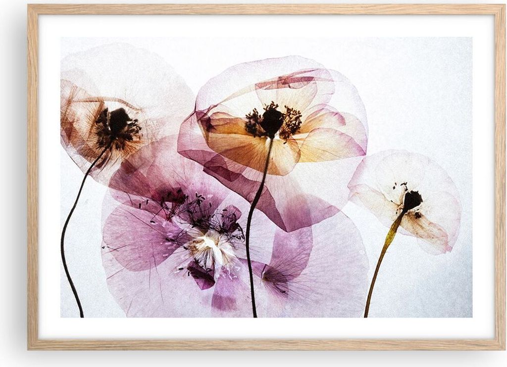 Gerahmtes Poster - Rahmen in heller Eiche - blume sommer natur - 70x50 cm - Wand Bild - Wanddeko - Wandbilder - Wandposter - Bilderrahmen - Bilder ...