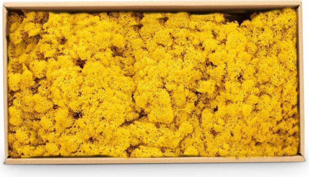 Islandmoos 500g in 30 Farben – Konserviertes Rentiermoos Natur, Farbe:Gelb