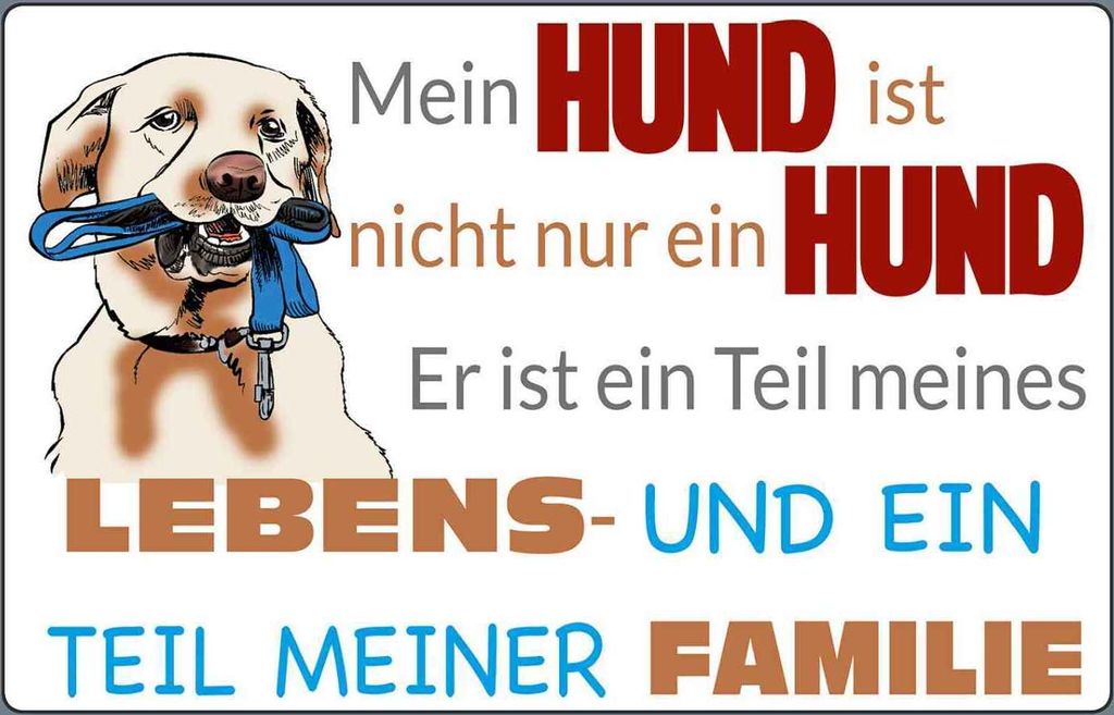 vianmo Holzschild 20x30 cm Hund ist Teil meines Lebens Tier Haustier