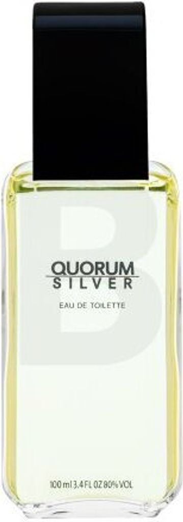 Antonio Puig Quorum Silver EDT 100 ml M Immagine del prodotto 