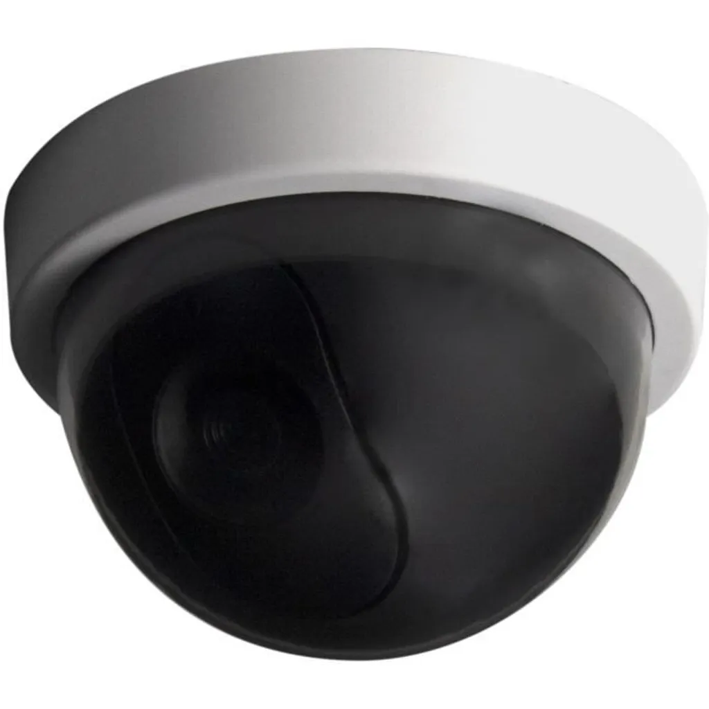 Telecamera Finta Chacon Dome Bianca con LED Blu Lampeggiante - Sicurezza Shop