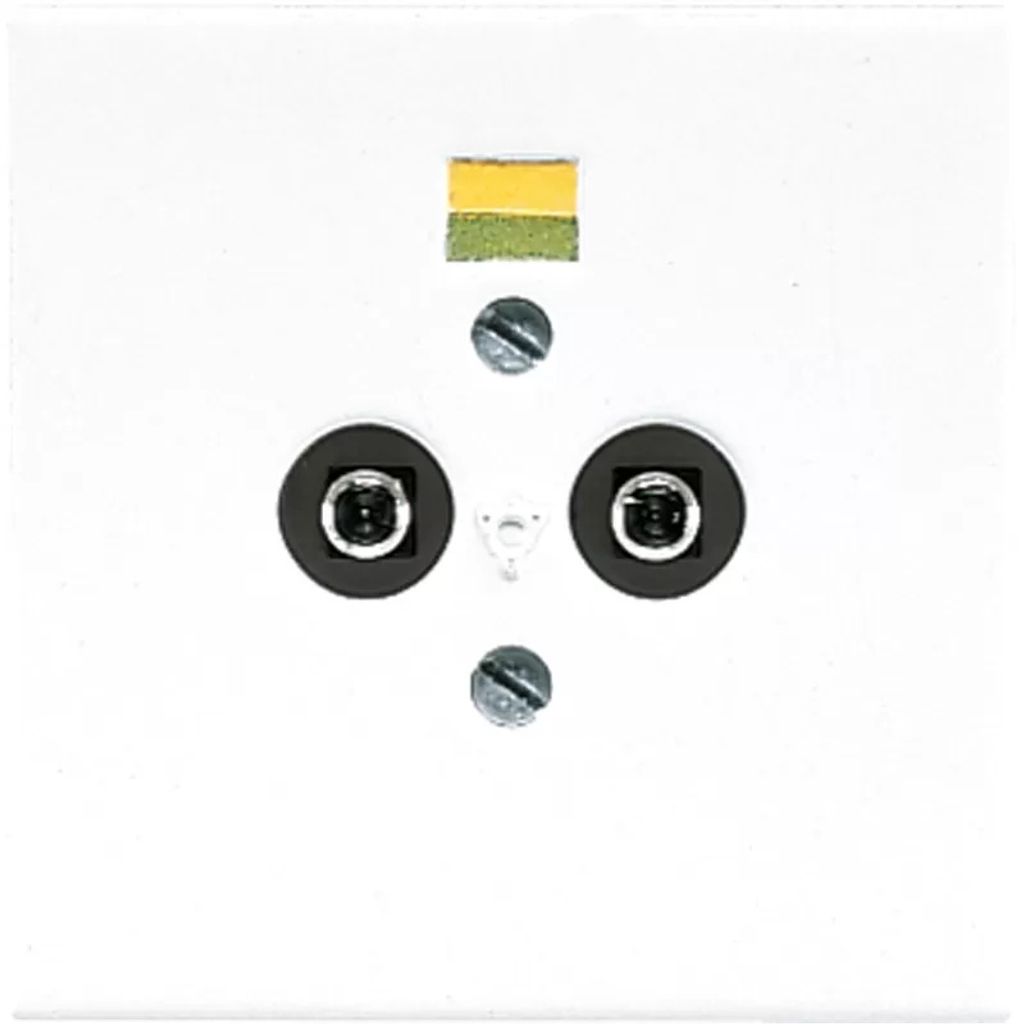 Jung LS 965-2 WW Steckdose Weiß (LS965-2WW)
