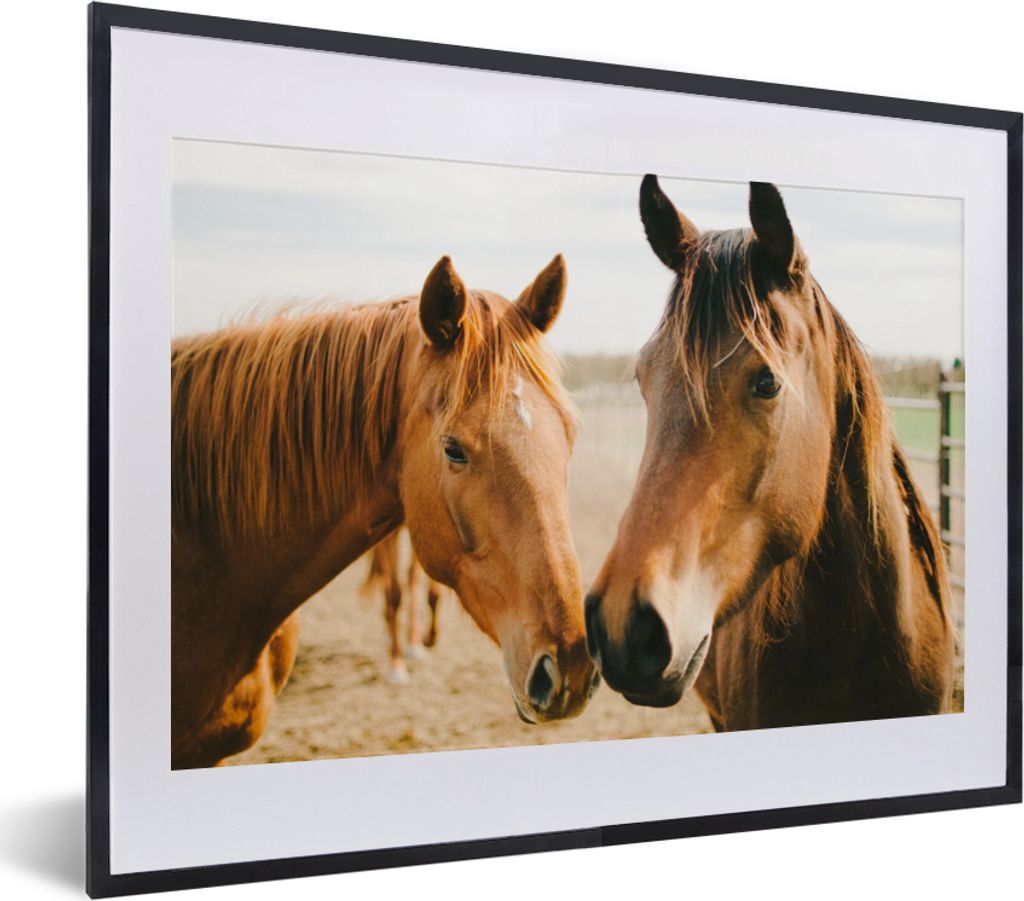 MuchoWow Gerahmtes Poster Pferd - Strand - Tiere 40x30 cm - Poster mit Schwarzem Bilderrahmen Wandposter Rahmen Foto Bilder - Bilderrahmen - Post...