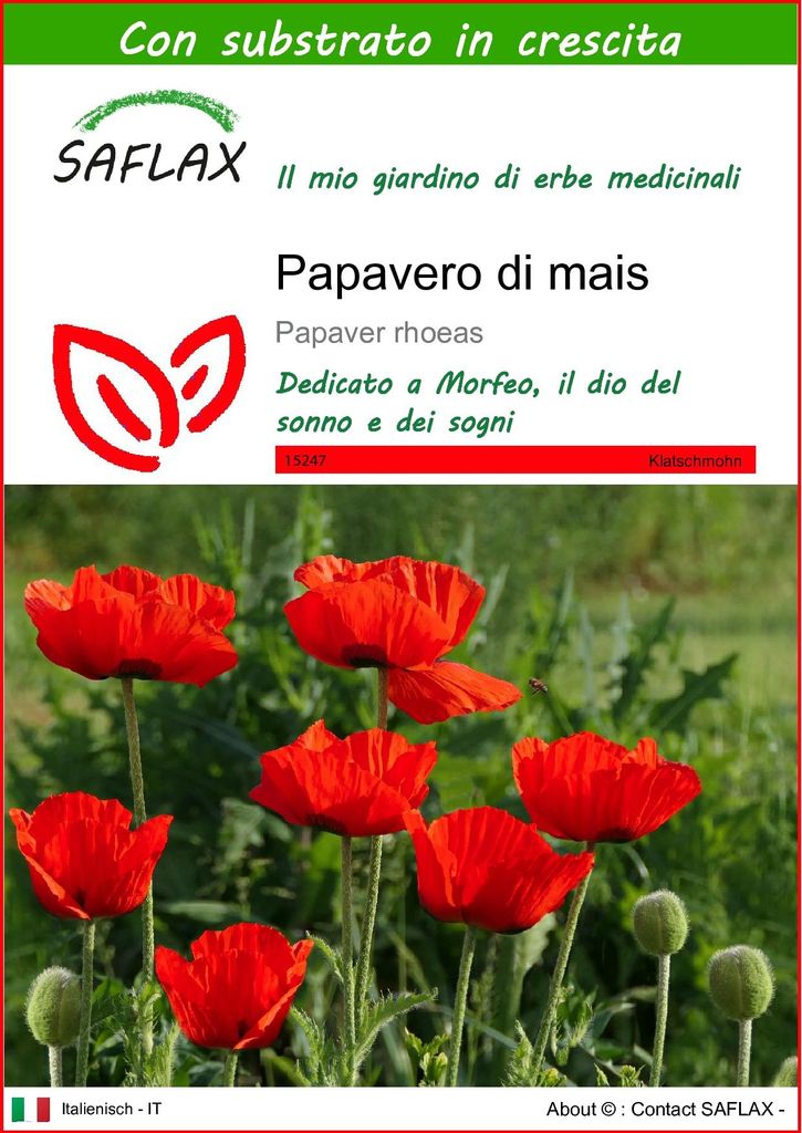 SAFLAX  - Papavero di mais - 27000 semi - Con substrato - Immagine del prodotto 