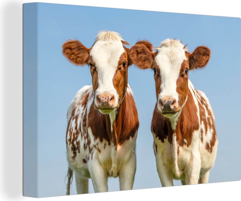 OneMillionCanvasses - Leinwandbilder - 150x100 cm, Kühe - Himmel - Tiere - Bauernhof - Porträt, Wandbilder Kunstdruck Wanddekoration - Foto auf...