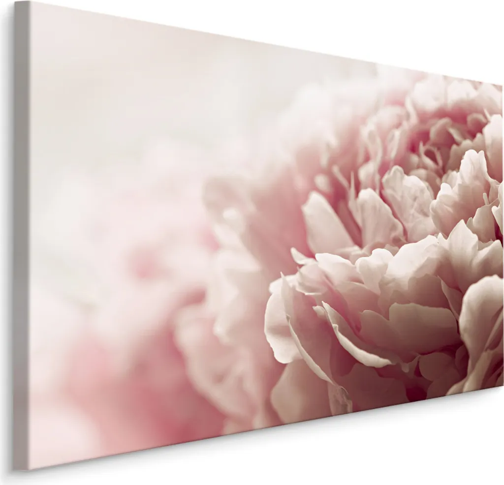 Sogno di Peonie: Carta da Parati Tela 100x70 XXL | Arte Natura Top