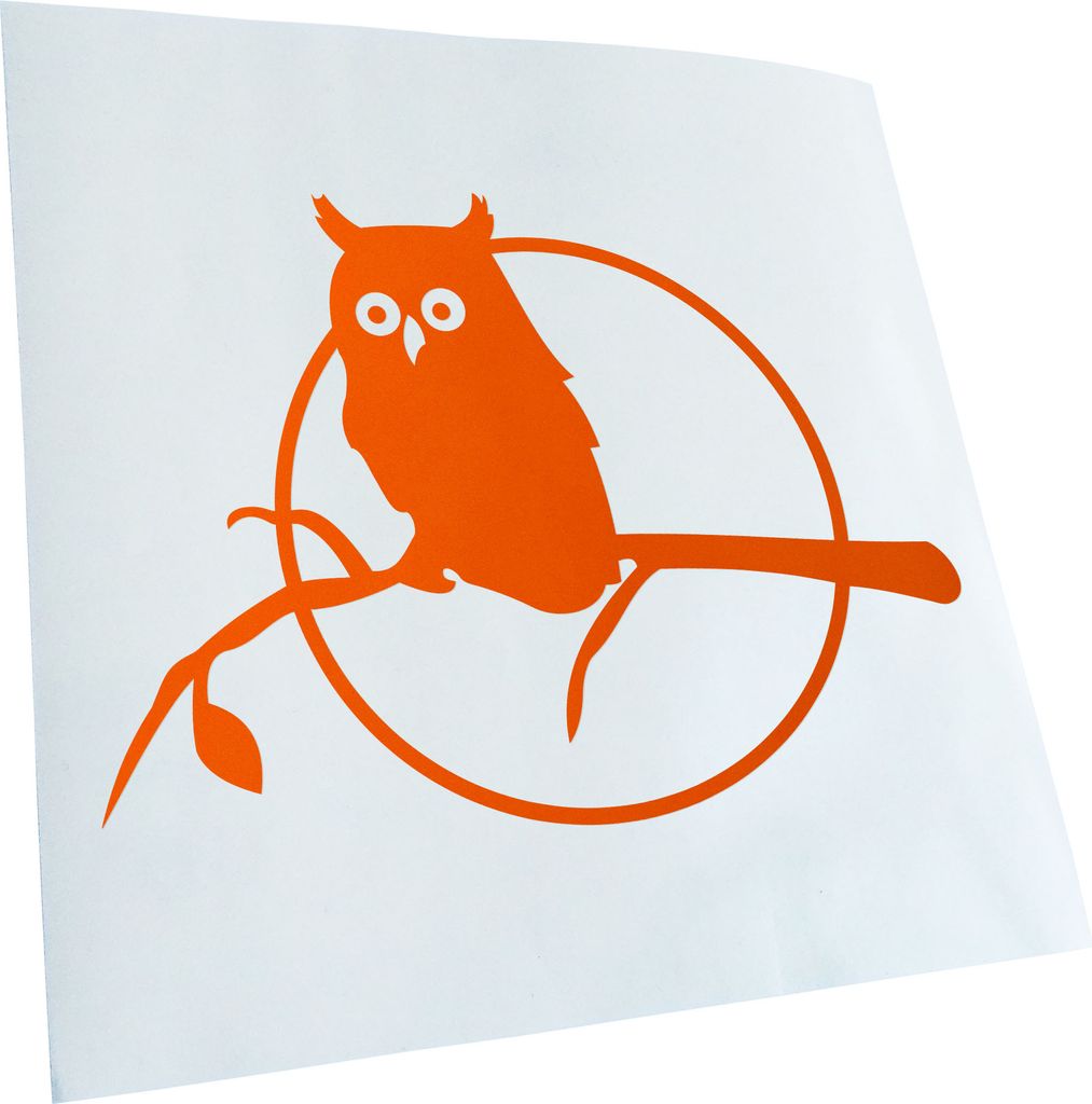 hauptsachebeklebt Kiwistar - Autoaufkleber - Eule auf einem AST - Owl on a Branch Heckscheibe - Aufkleber für Auto Kfz Fahrrad, LKW, Truck Mofa