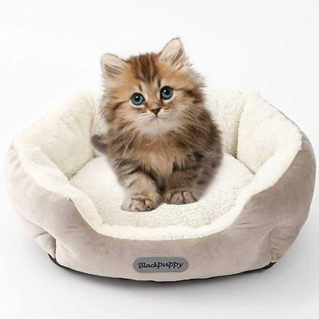Lit pour chat beige taille M 47x40cm lavable et moelleux pour petit chien