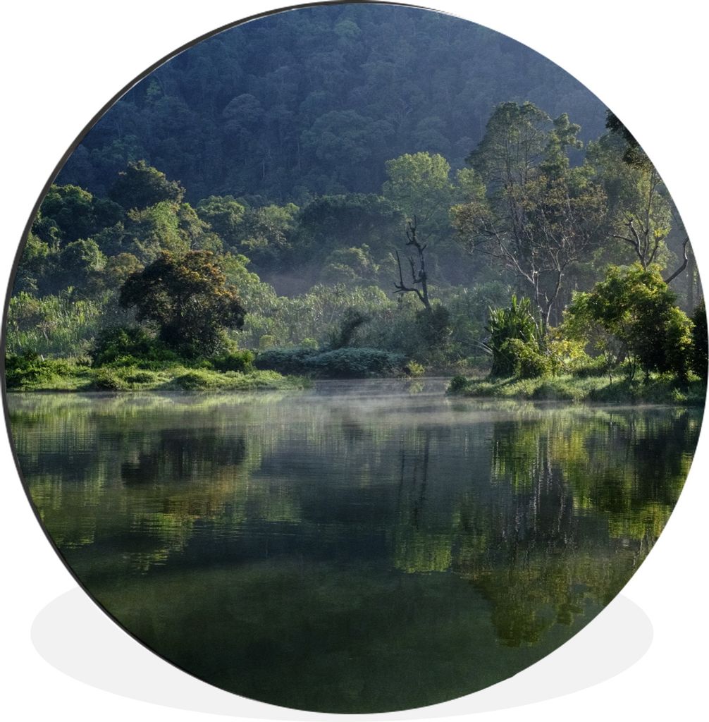MuchoWow Aluminium Wandkreis Erstaunliche Spiegelung eines tropischen Regenwaldes in einem See in Jakarta Ø 90 cm Wanddeko Modern Wohnzimmer - M...