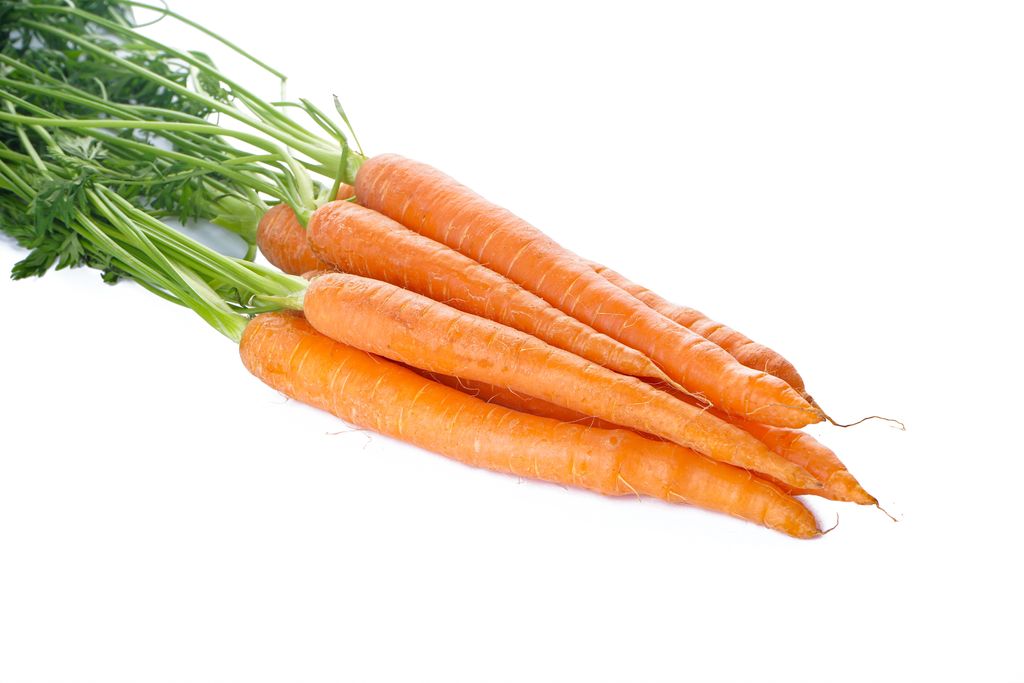 Möhren Samen Karotten Juwarot Gemüsesamen ca | Kaufland.de