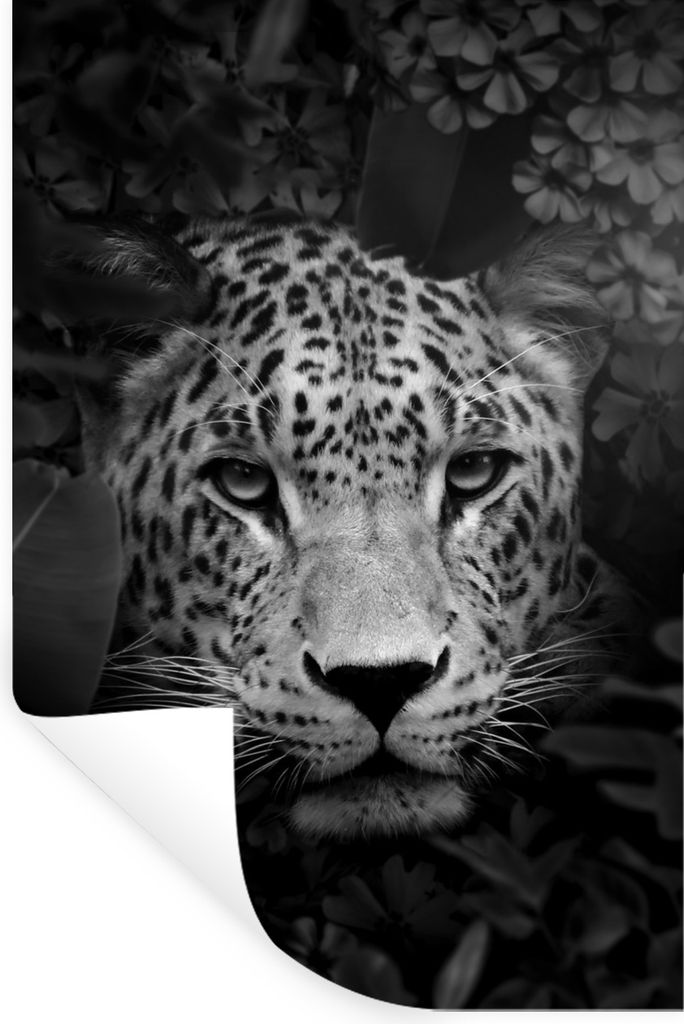 MuchoWow Wandtattoo Wandsticker Wandaufkleber Panther zwischen Blumen im Dschungel - schwarz und weiß 20x30 cm Selbstklebend und Repositionierba...