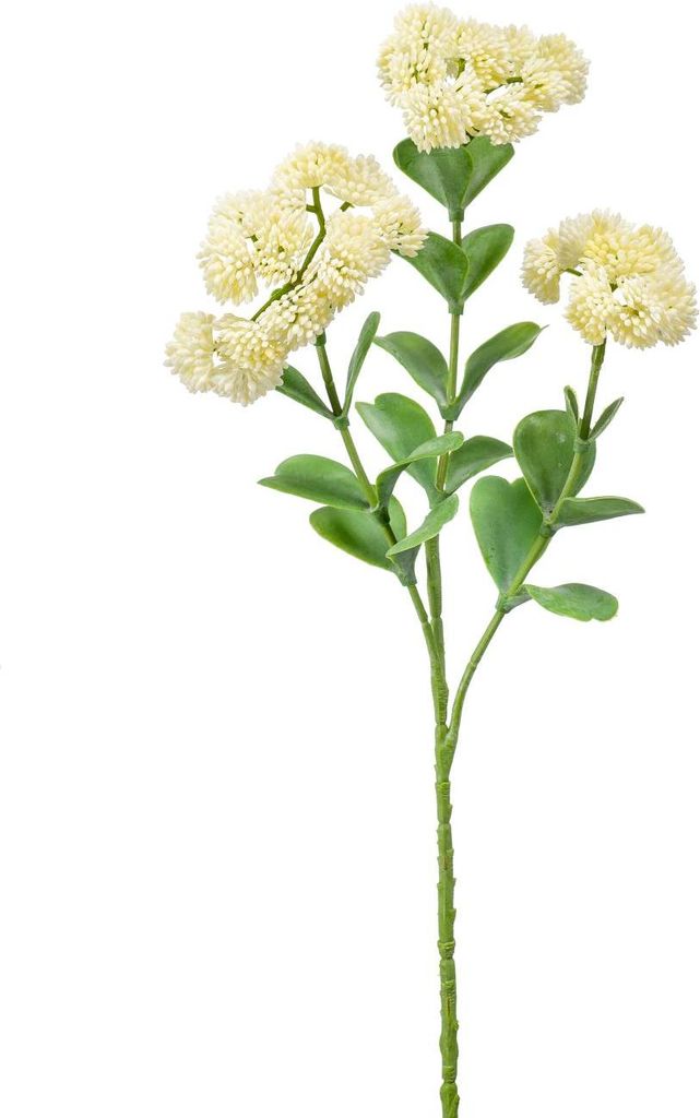 artplants.de Künstliche Sedum Blüte EUFRASIA, Creme, 55cm - Deko Blume