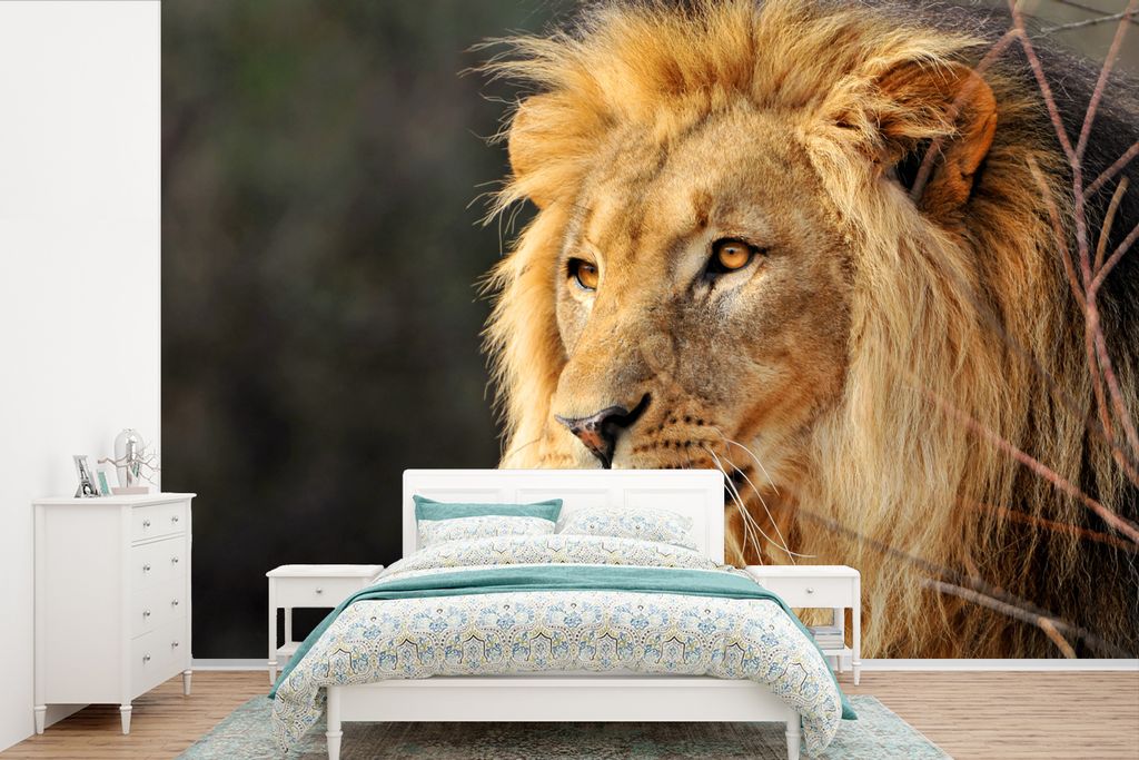 MuchoWow Fototapete für Wohnzimmer oder Schlafzimmer Wandtapete Vinyl Motivtapete Leo - Profil - Jagen - 330x220 cm - Fototapeten