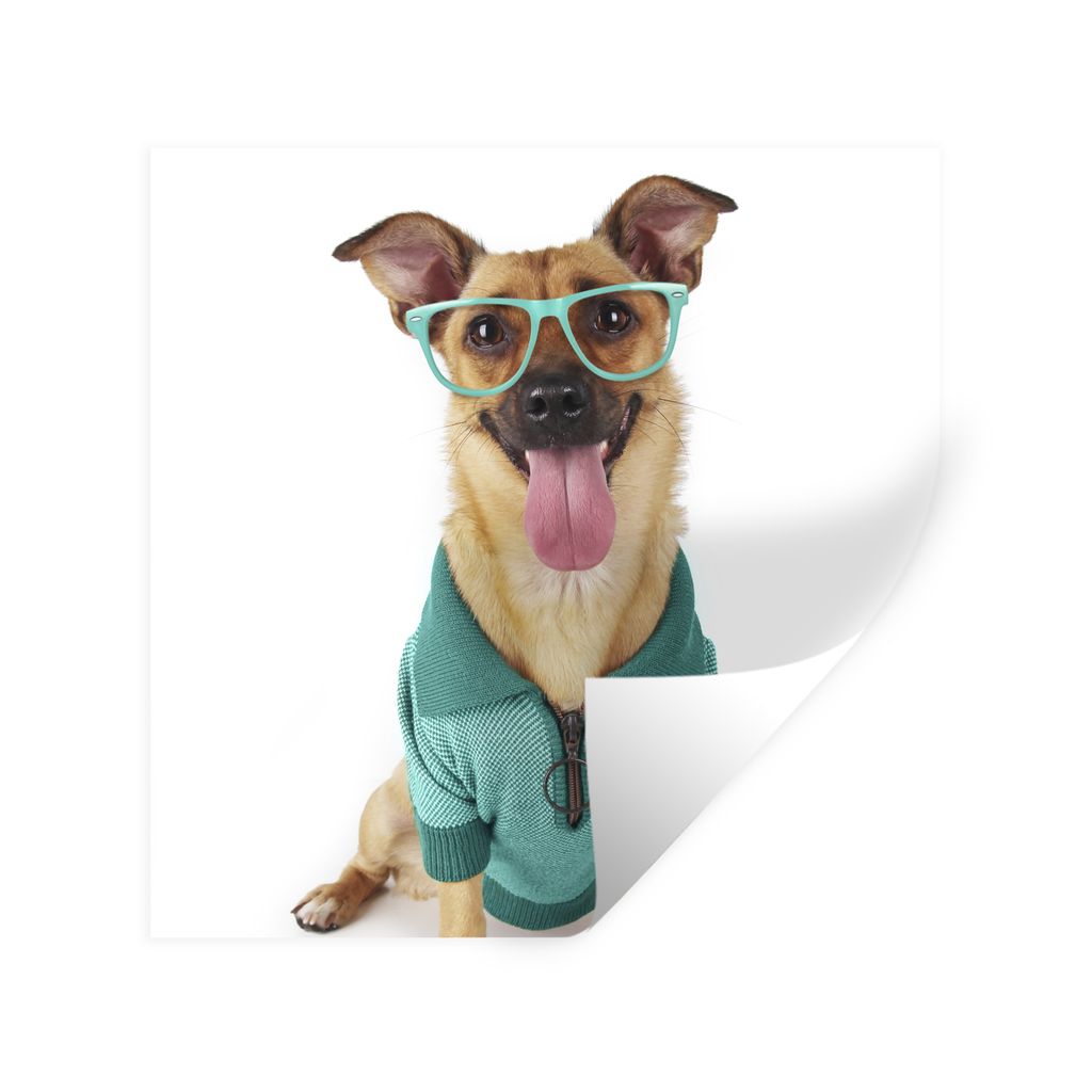 MuchoWow Wandtattoo Wandsticker Wandaufkleber Hund - Brille - Hemd - Hipster 50x50 cm Selbstklebend und Repositionierbar - Selbstklebend - Fotota...