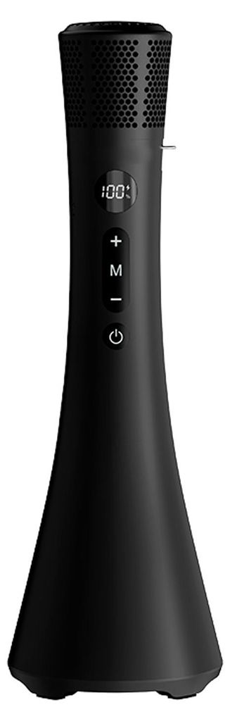 Drahtloses Mikrofon mit Lautsprecher – tragbares Handmikrofon mit Lautsprecher, 20 W, wiederaufladbar, für Karaoke in der Gruppe, Besprechungen,...