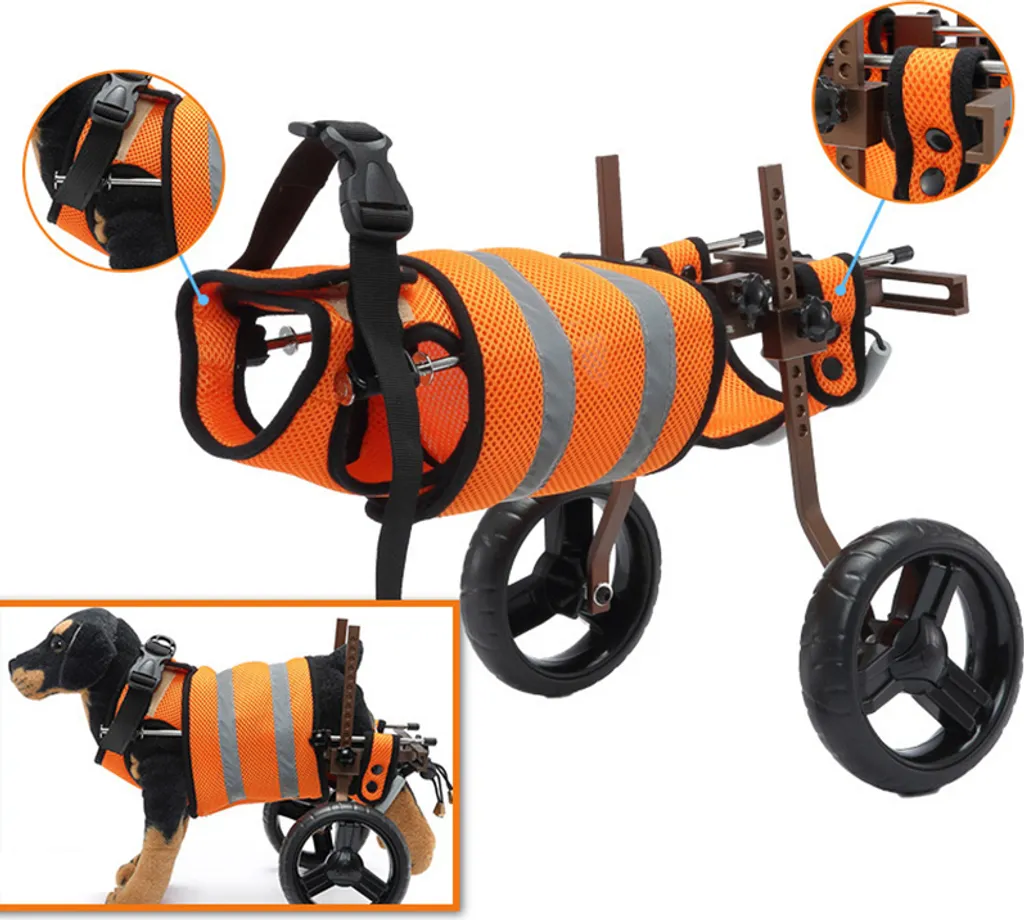 Solution Mobilité Chien Handicapé : Déambulateur Réglable à deux Roues - 2
