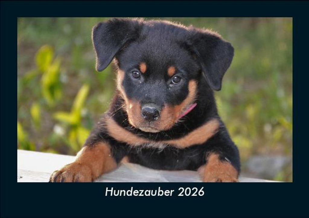 Hundezauber 2026 Fotokalender - Querformat DIN A5, Monatskalender mit Bild-Motiven von Haustieren, Bauernhof, wilden Tieren und Raubtieren