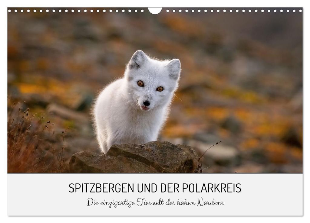 Spitzbergen und der Polarkreis (Wandkalender 2027 DIN A3 quer), CALVENDO Monatskalender