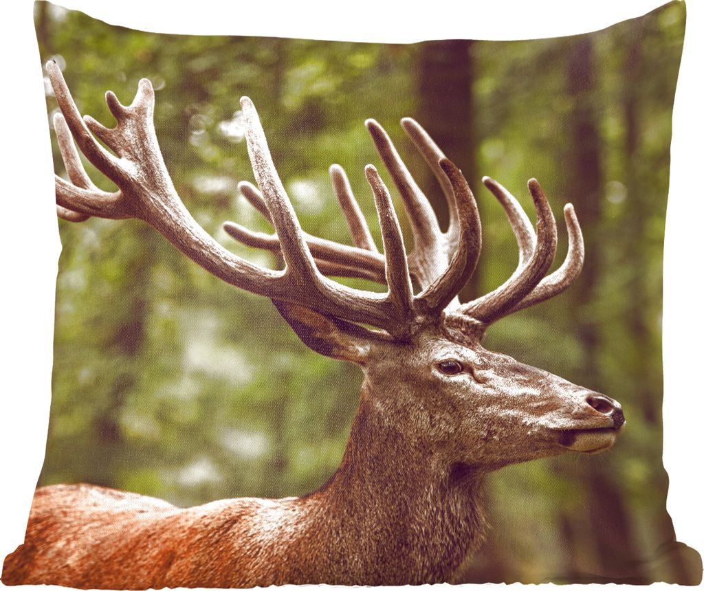 MuchoWow Zierkissen Sofakissen Wohnzimmer Dekokissen 50x50 cm Hirsch - Natur - Geweih - Wald - Tiere - Komfort - Sofakissen