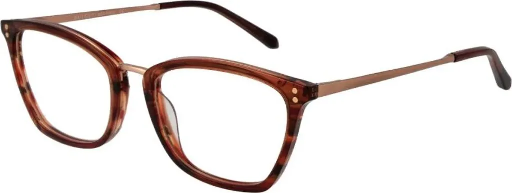 Lunettes pour homme Bulget BG6388 : Confort quotidien et style bureau