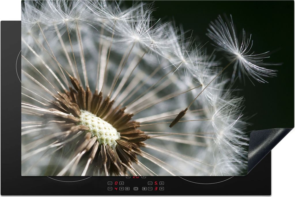 KitchenYeah Herdabdeckplatte Löwenzahnsamen verweht , 81x52cm, Küche Deko, Glaskeramikfeld Herdabdeckung, Abdeckplatte fùr Kochfeld