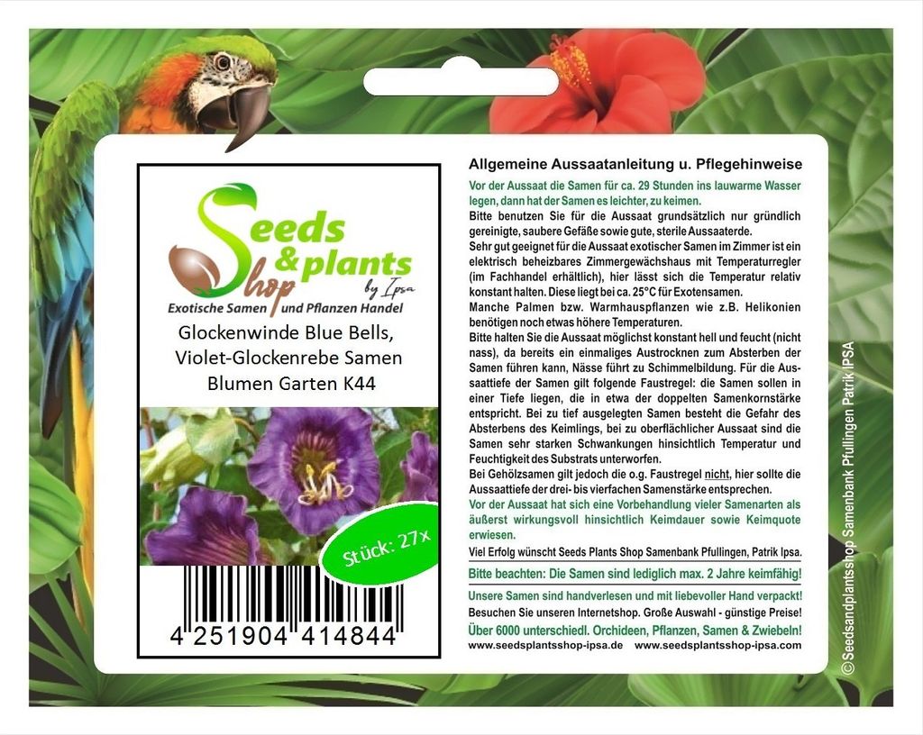 27x Glockenwinde Blue Bells Violet Cobaea scandens Garten Pflanzen - Samen K44