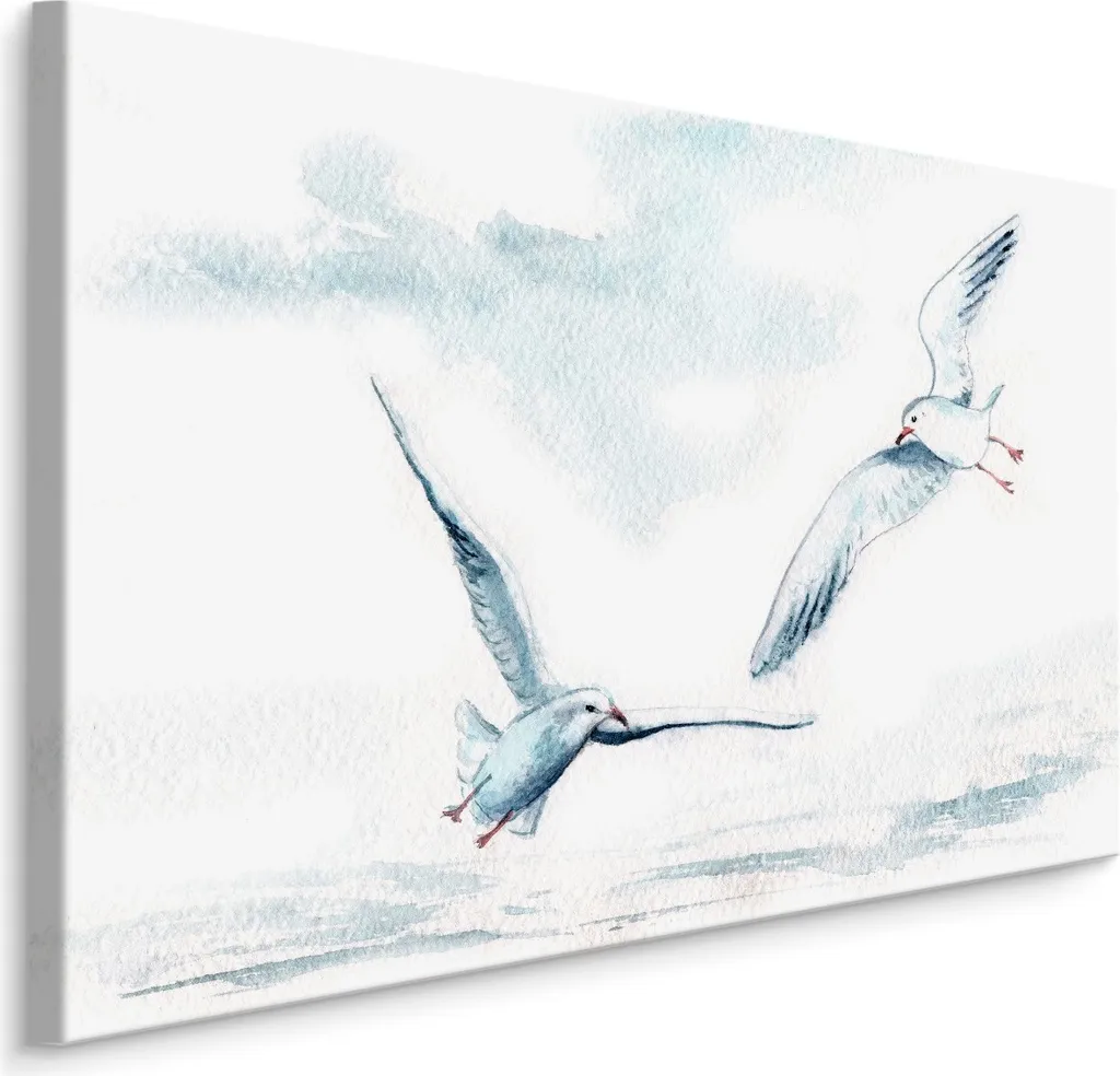 Favolosa tela SCREEN PICTURE 70x50 cm XXL stampa d'arte natura uccelli gabbiani cielo