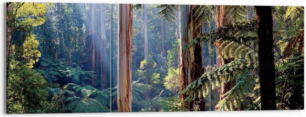 Bild auf Leinwand - Leinwandbild - 3 Teile - Morgendämmerung Bäume Wald - 150x50cm - Wand Bild - Wanddeko - Wandbilder - Leinwanddruck - Bilder -...
