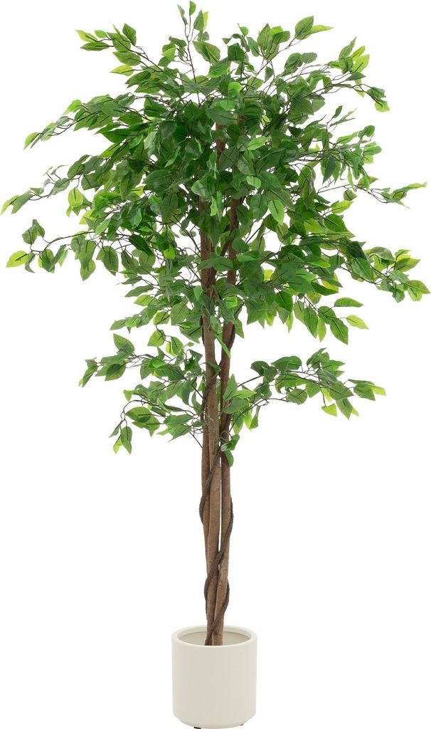 ML-Design Kunstpflanze Ficus 150cm Künstliche Pflanzen groß Produktbild 