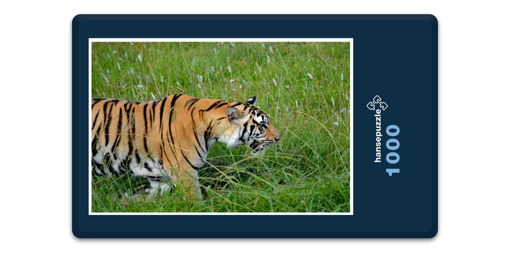 hansepuzzle 15715 - Wildkatze Puzzle, 1000 Teile, Natur, 60,0 x 46,0cm mit hochwertiger Aufbewahrung, Kartonbox und wiederverschließbarem Beutel