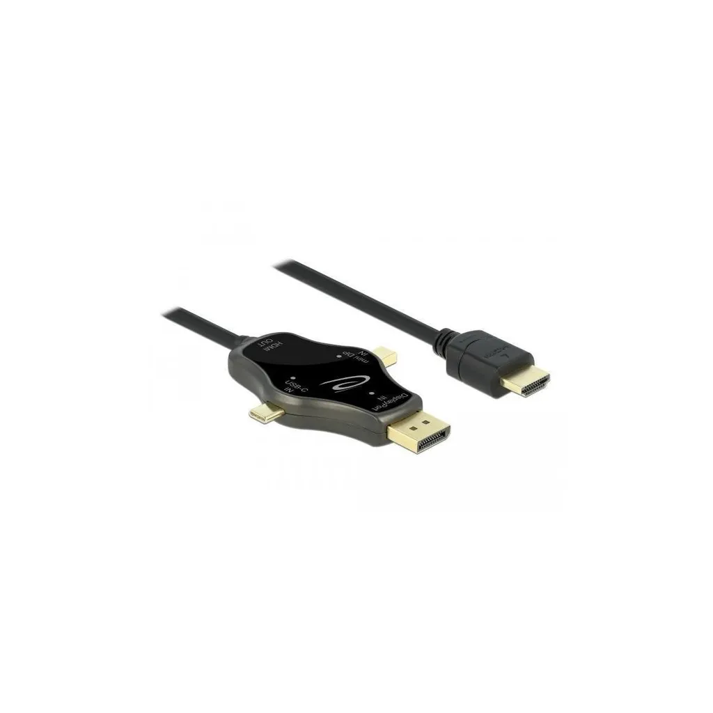 Câble écran HDMI vers USB-C et DisplayPort 4K 60 Hz polyvalent 3m - 2