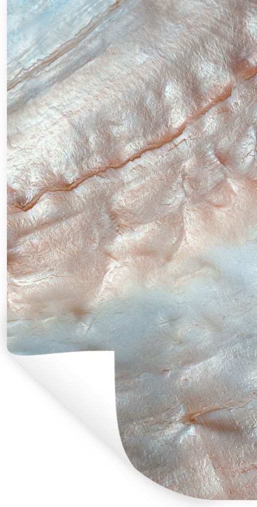 MuchoWow Wandtattoo Wandsticker Wandaufkleber Muscheln - Abstrakt - Natur 40x80 cm Selbstklebend und Repositionierbar - Repositionierbar - Wasser...