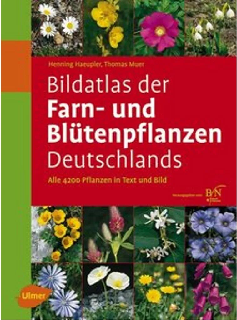 Bildatlas der Farn- und Blütenpflanzen Deutschlands : Guide Botanique