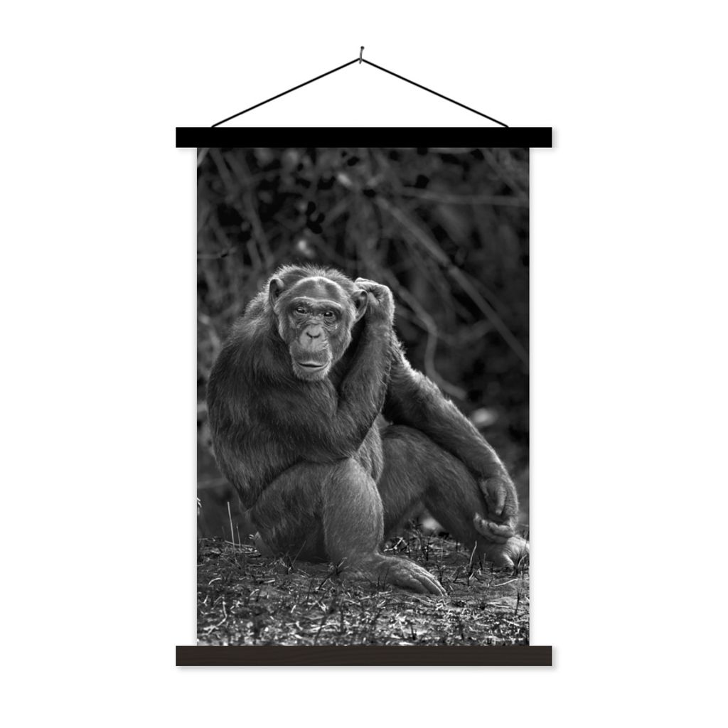 MuchoWow Textilposter Tierprofil sitzender Schimpanse in schwarz und weiß 40x60 cm mit schwarzem Rahmen - Wanddekorationen