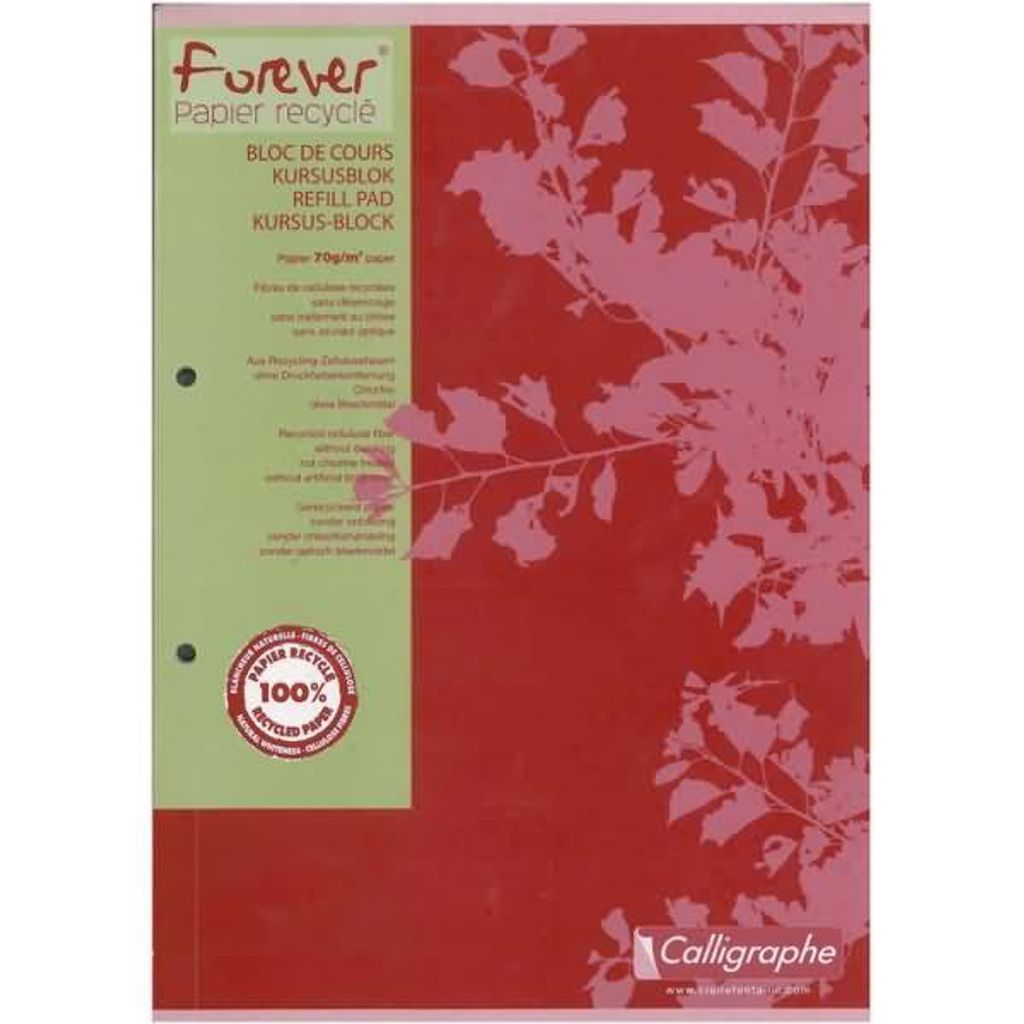 Clairefontaine - Kursblock Forever Calligraphe A4 Diamant 5x5mm 2-Loch 200 Seiten 70gr grau