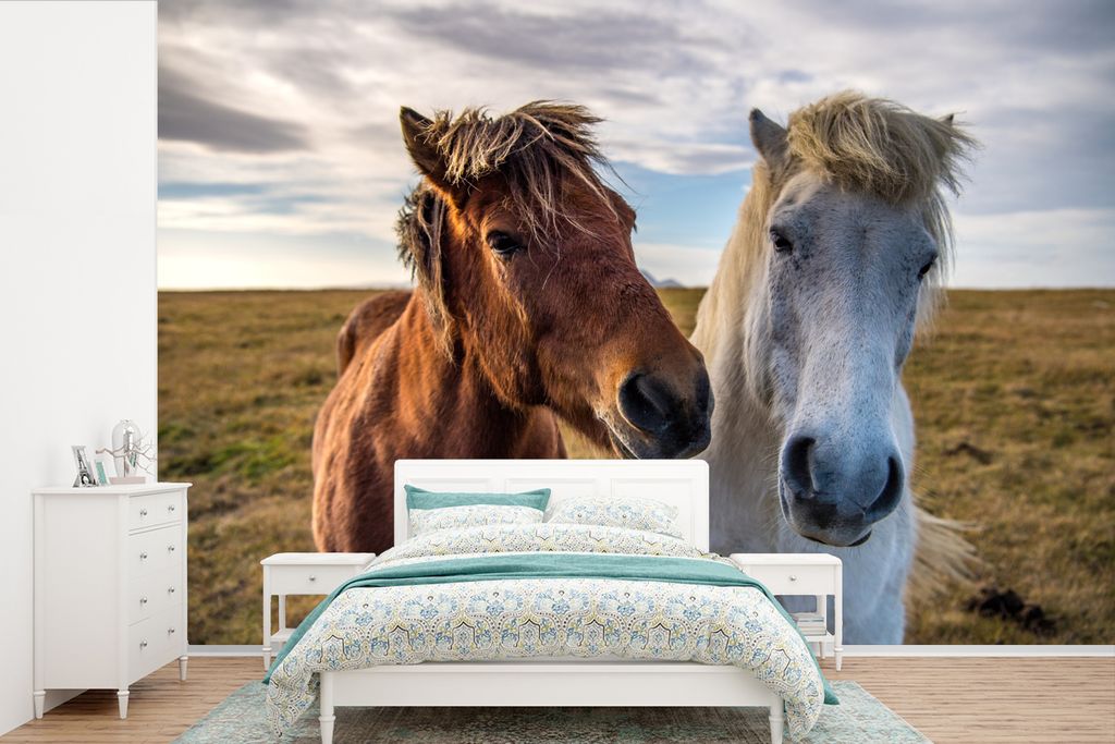 MuchoWow Fototapete für Wohnzimmer oder Schlafzimmer Wandtapete Vinyl Motivtapete Isländische Ponys auf einer Wiese - 330x220 cm - Fototapeten
