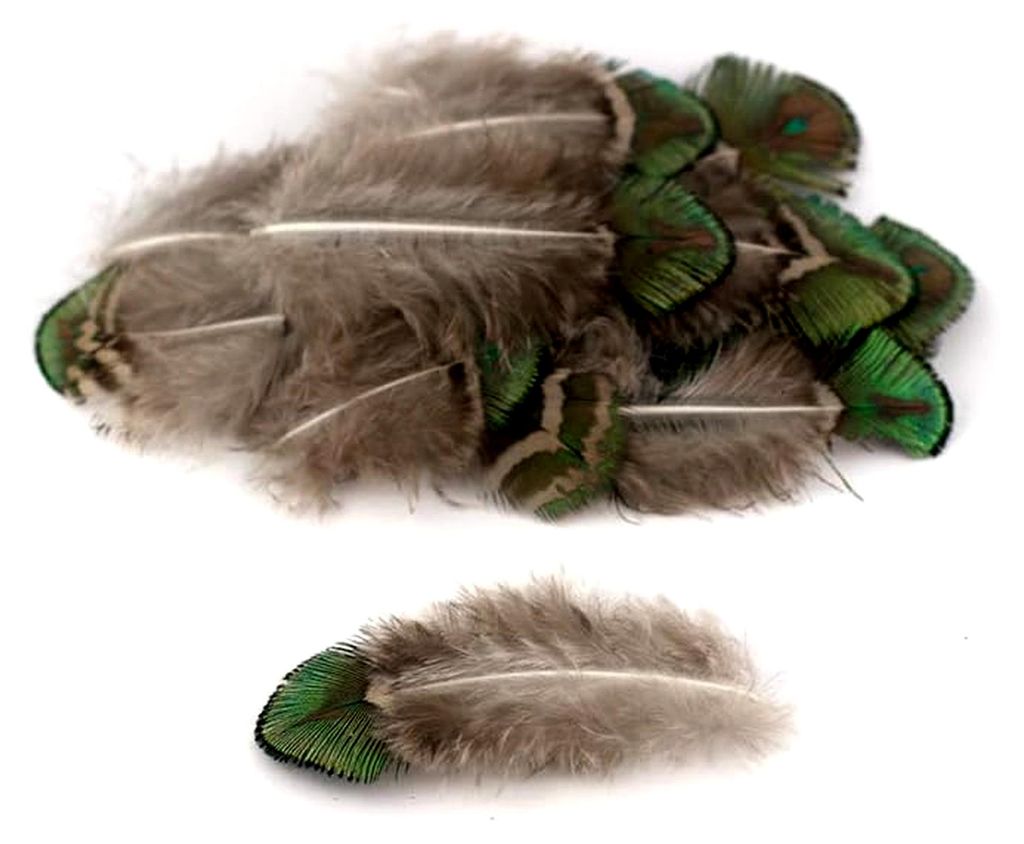 20 Pfauenfedern 4-8cm // Dekofedern Schmuckfedern Basteln Federn Pfau Vogelfedern
