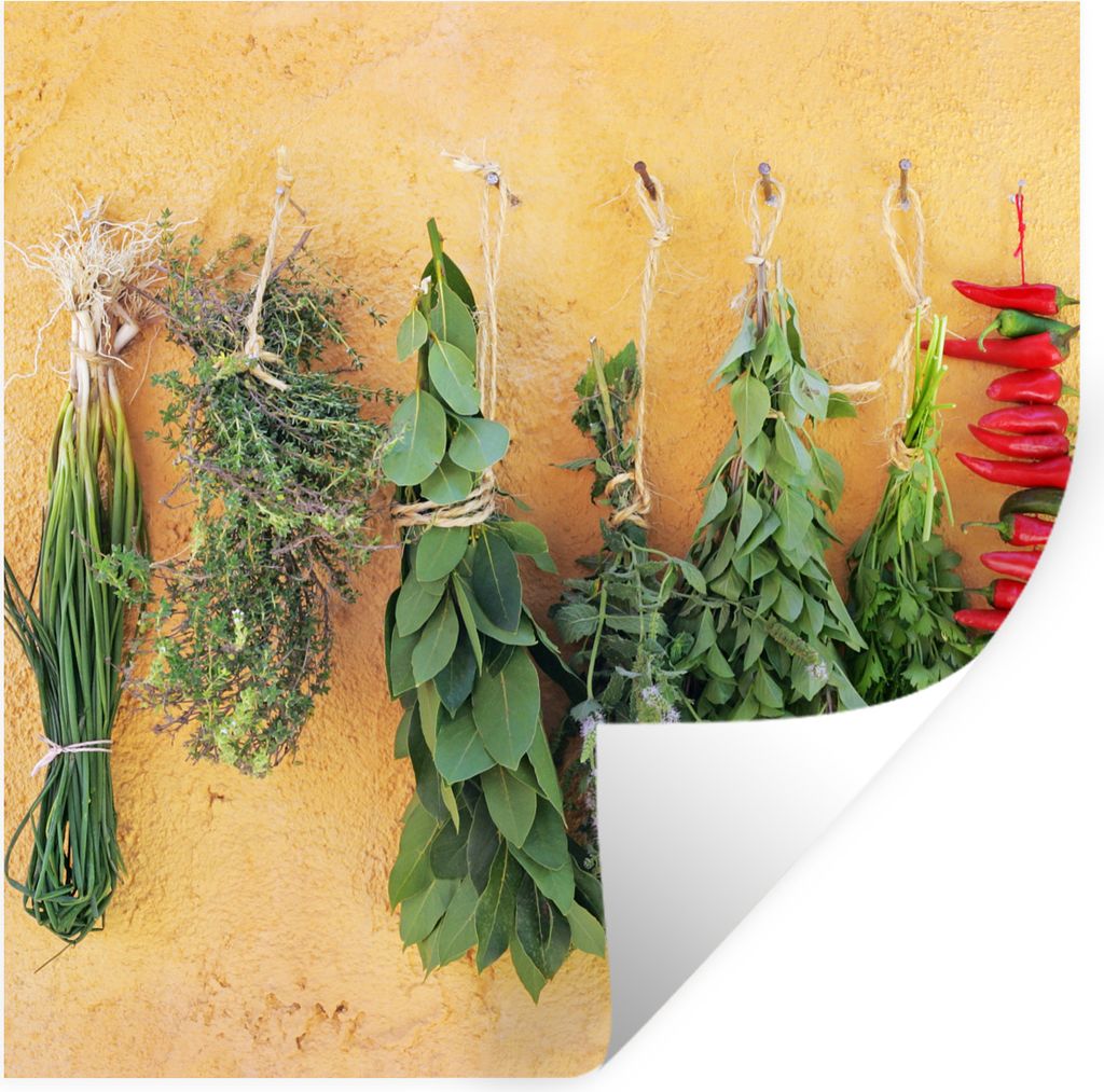 MuchoWow Wandtattoo Wandsticker Wandaufkleber Mediterrane Kräuter 50x50 cm Selbstklebend und Repositionierbar - Selbstklebend - Fototapeten