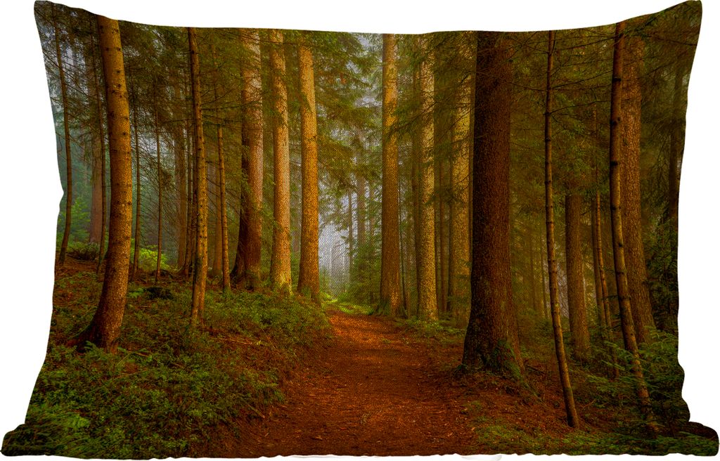 MuchoWow Outdoor Kissen - Wald - Natur - Bäume - Landschaft - Laub - 60x40 cm - Wetterfest - Lounge Kissen - Zierkissen - Kissen für Innenräume