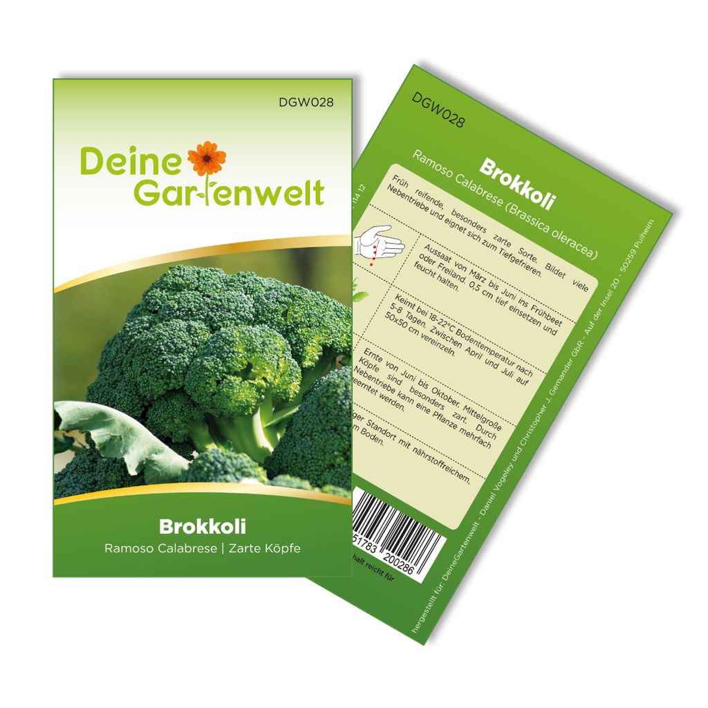 Brokkoli Ramoso Calabrese Samen - Brassica oleracea - Produktbild 