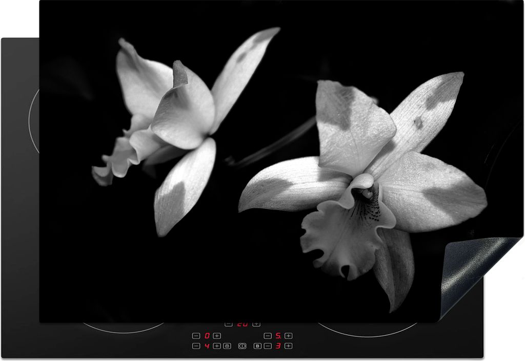 KitchenYeah© Herdabdeckplatte Zwei Orchideenblüten - Produktbild 