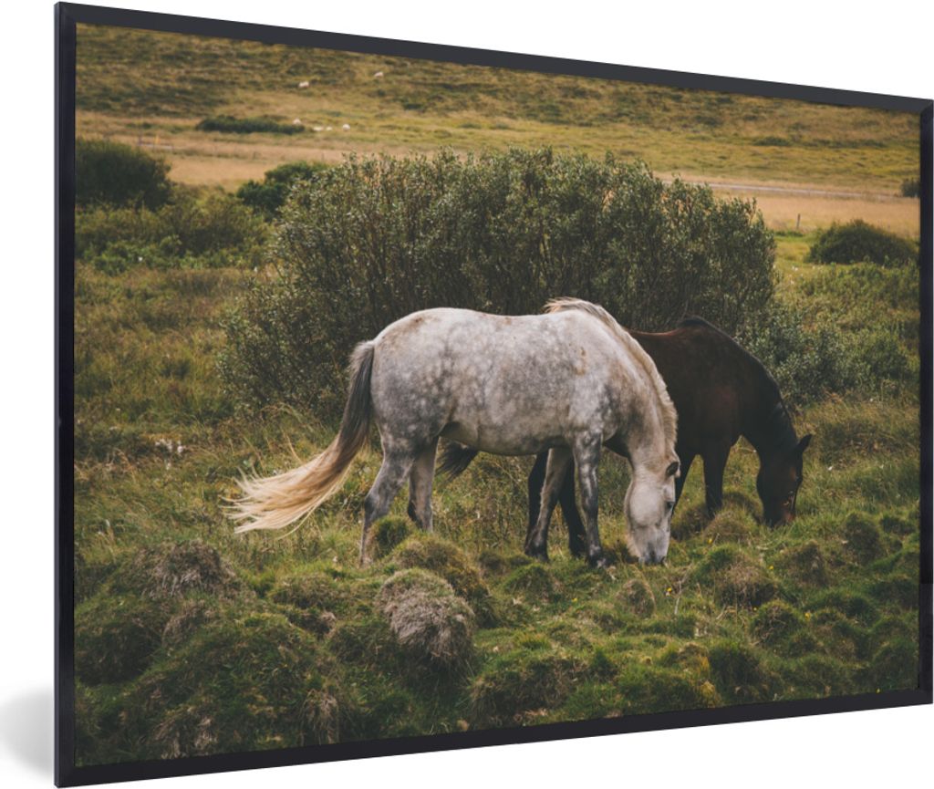 MuchoWow MuchoWow Gerahmtes Poster Pferde - Gras - Strauch 60x40 cm - Poster mit zchwarzem Bilderrahmen - Printing - Wanddeko Schlafzimmer