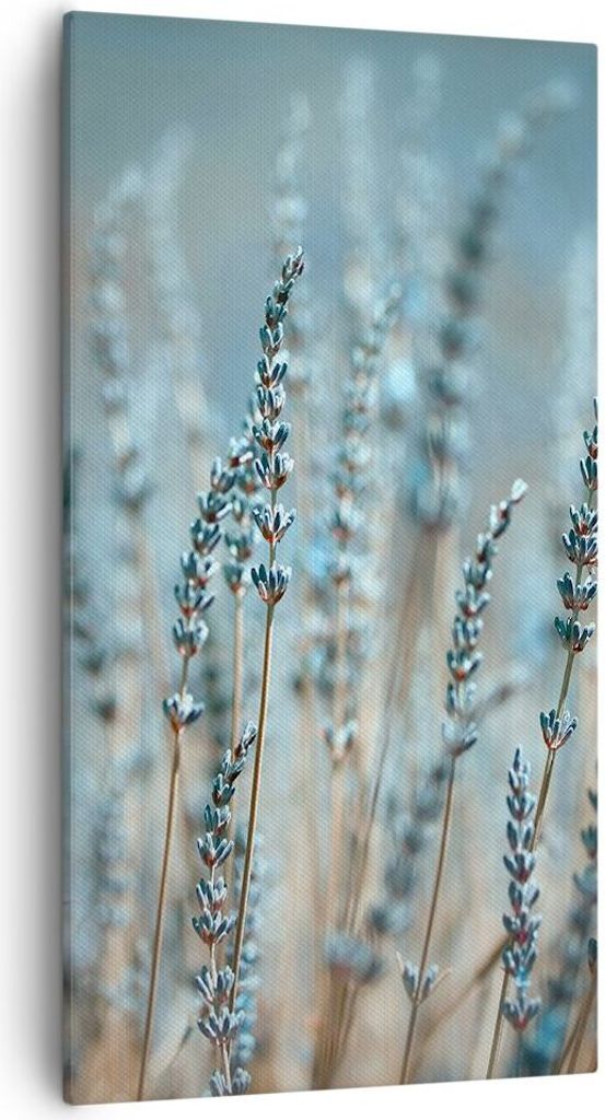 Bild auf Leinwand - Leinwandbild - Einteilig - Lavendel Klinge Blume - 55x100cm - Wand Bild - Wanddeko - Wandbilder - Leinwanddruck - Bilder - Wand...
