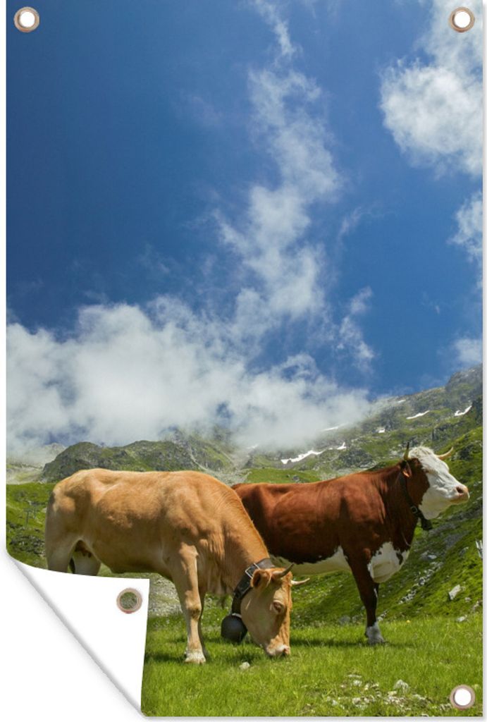 MuchoWow 60x90 cm Outdoor-Poster Gartendeko Sichtschutz Garten Poster für den Garten Kühe - Licht - Alpen