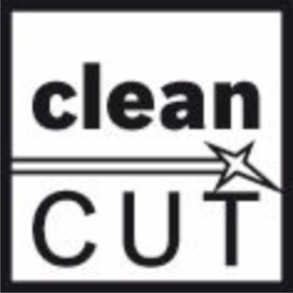 PRO Plastics PC clean T101A Stichsägeblatt, 100 mm, 5-tlg. Produktbild 