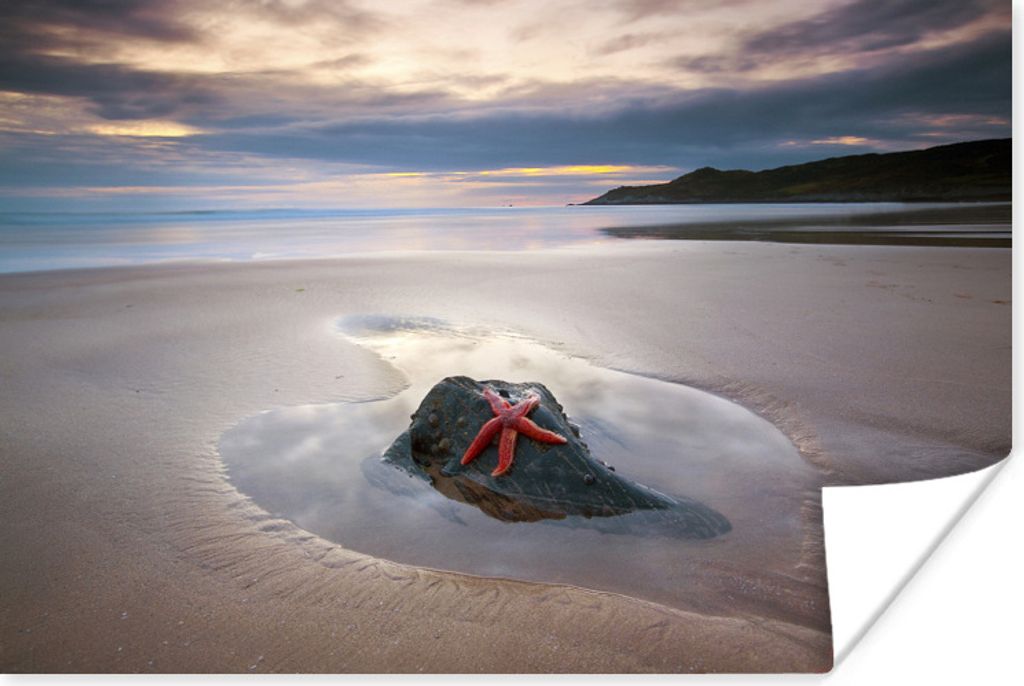 MuchoWow Poster Seestern - Strand - Sonne 180x120 cm - Fotoplakat