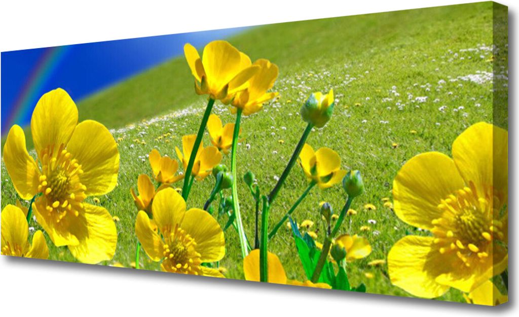 Tulup Leinwand-Bilder 125x50 Wandbild Canvas Kunstdruck Wiese Blumen Regenbogen Natur